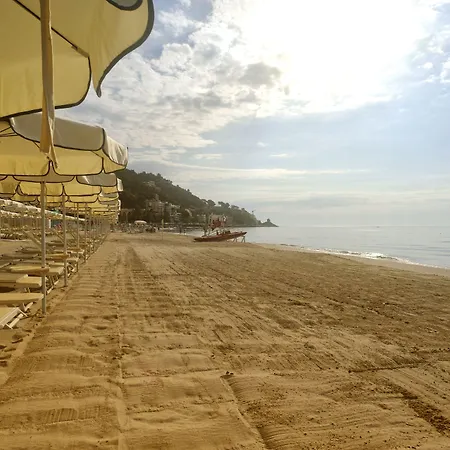 Hotel Diana Grand 4*